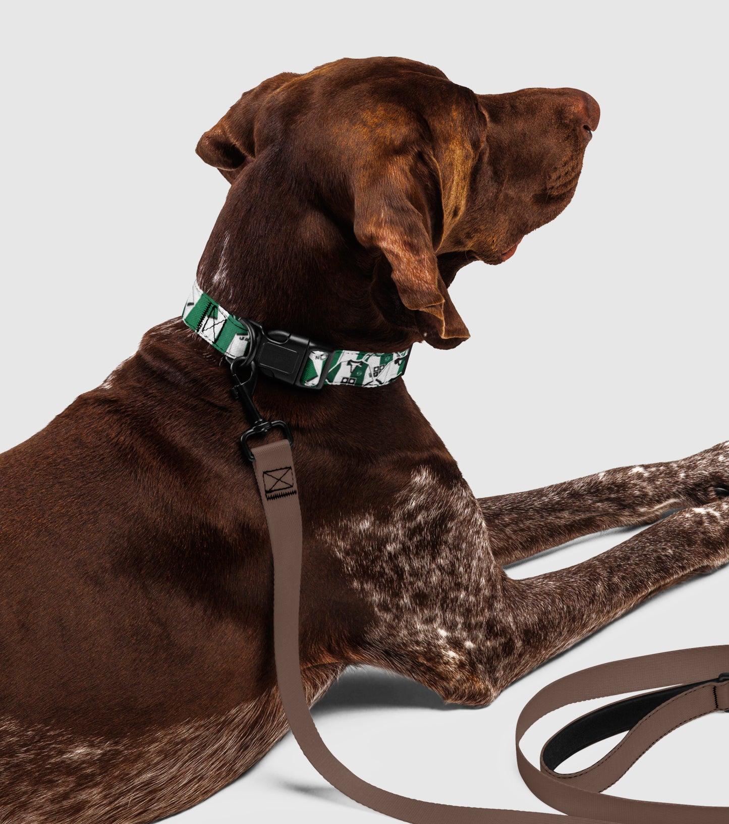 Coleira Blend Collection Stromp