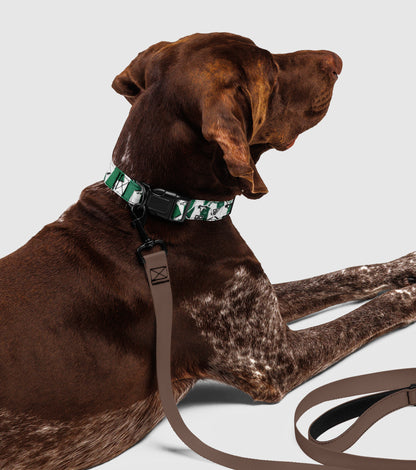 Coleira Blend Collection Stromp